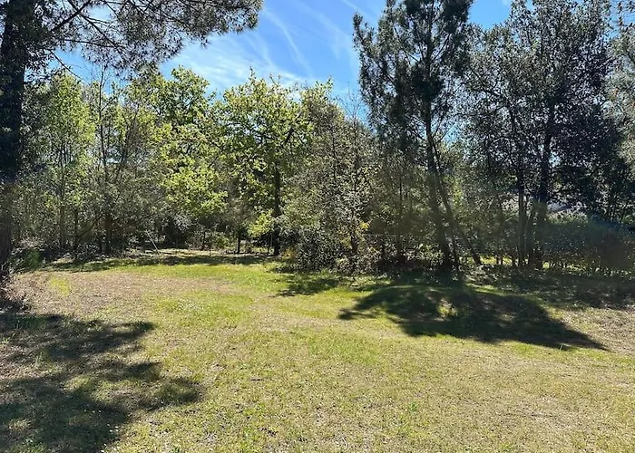 Vaste Villa Au Coeur De La Pinede